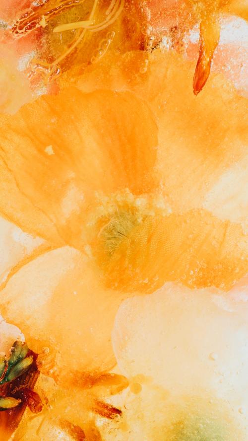 Blooming orange natural forsythia flower - 2293691