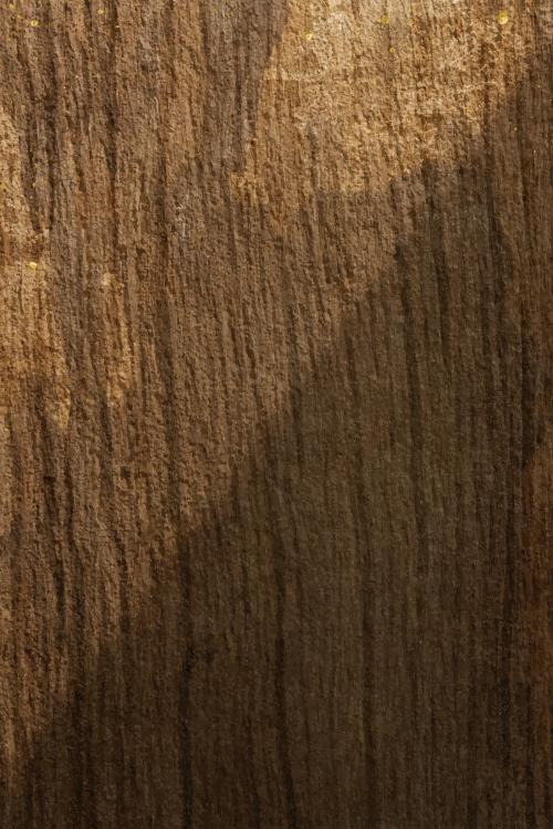 Walnut wood textured design background vector - 2253102