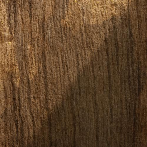 Walnut wood textured design background vector - 2253109