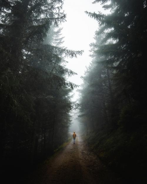 Man walking up the misty woods in the Dolomites - 2047668