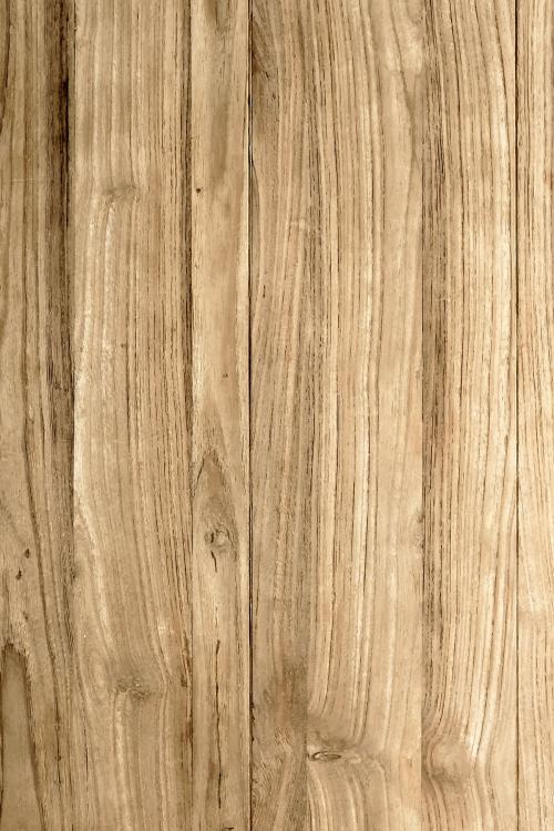 Oak wood textured design background vector - 2253192