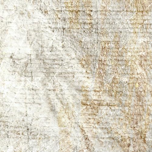 Pale wooden textured design background vector - 2253199