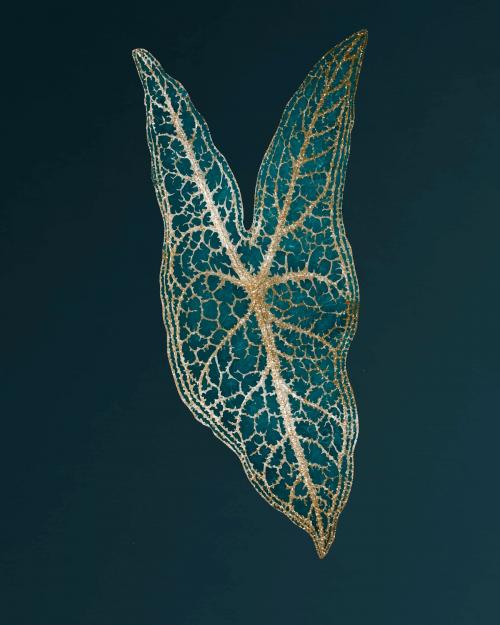 Caladium Belleymel, engraved Heart of Jesus leaf vintage vector, remix from original artwork of Benjamin Fawcett. - 2267565