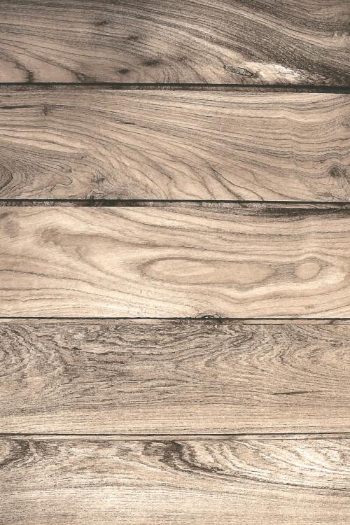 Oak wood textured design background vector - 2253208