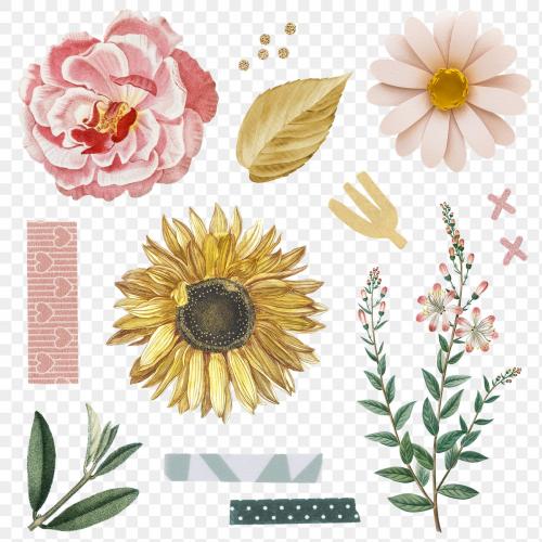 Rose and sunflower stickers pack transparent png - 2093685