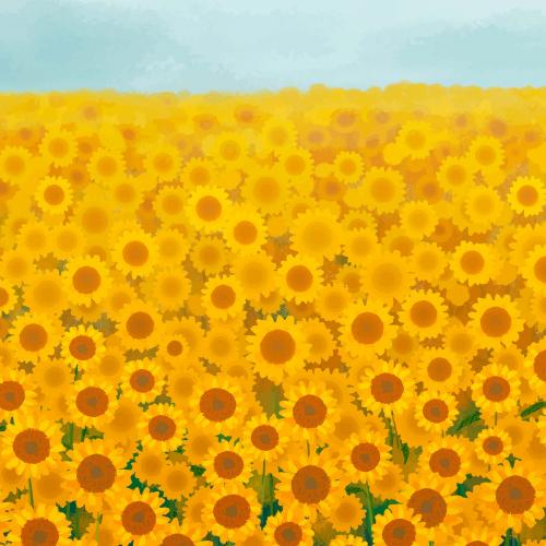 Sunflower garden background vector - 2043895