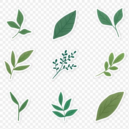 Green leaves sticker collection transparent png - 2030782
