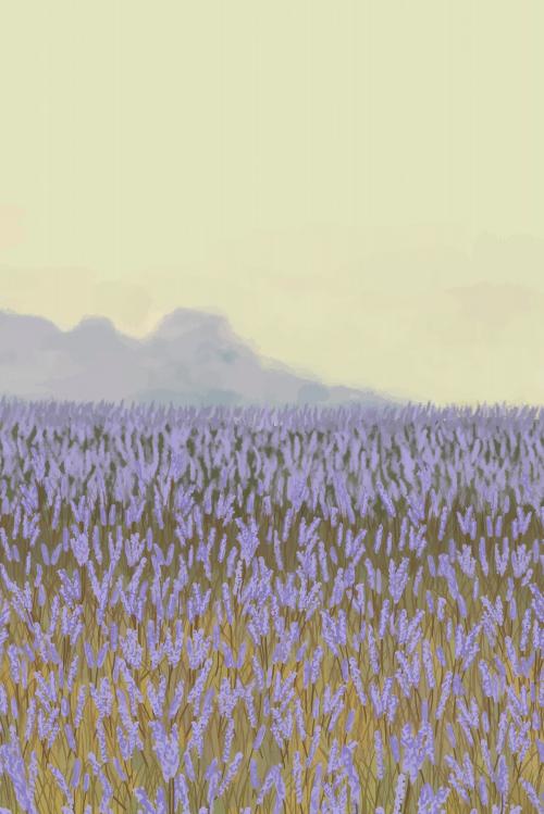 Blooming lavender garden background template vector - 2043956