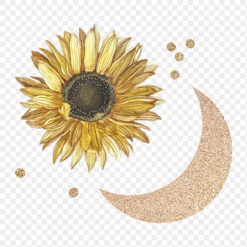 Blooming sunflower with a glittery crescent moon design element transparent png - 2093703