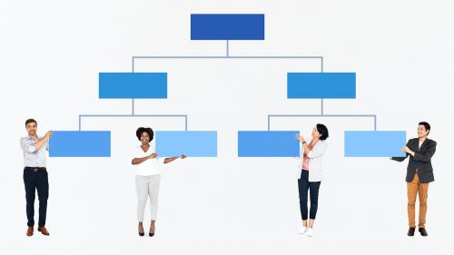 Diverse people with a hierarchy chart - 491287
