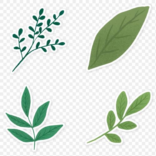 Green leaves sticker collection transparent png - 2030759