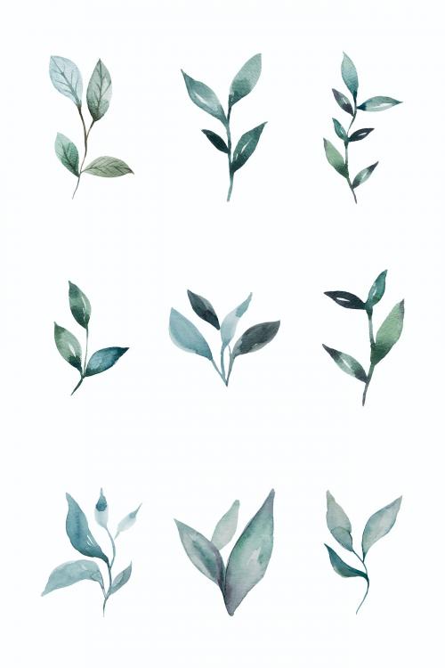 Hand painted watercolor leaves vector set - 2037187