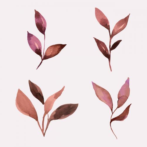 Hand painted watercolor leaves vector set - 2037214