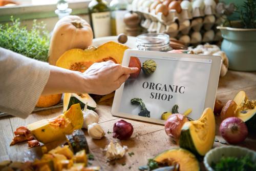 Woman shopping organic vegetables online - 484561