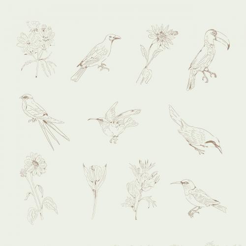 Hand drawn birds and flowers collection vector - 2042042