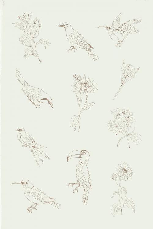 Hand drawn birds and flowers collection vector - 2042049