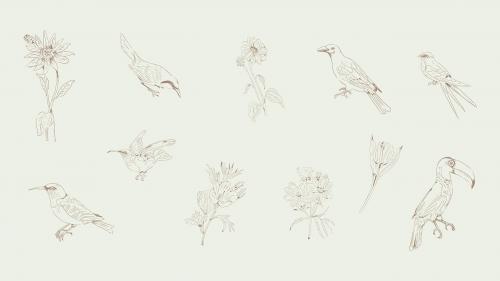 Hand drawn birds and flowers collection vector - 2042054