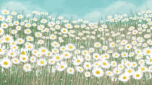 Blooming white daisy flower background vector - 2043898