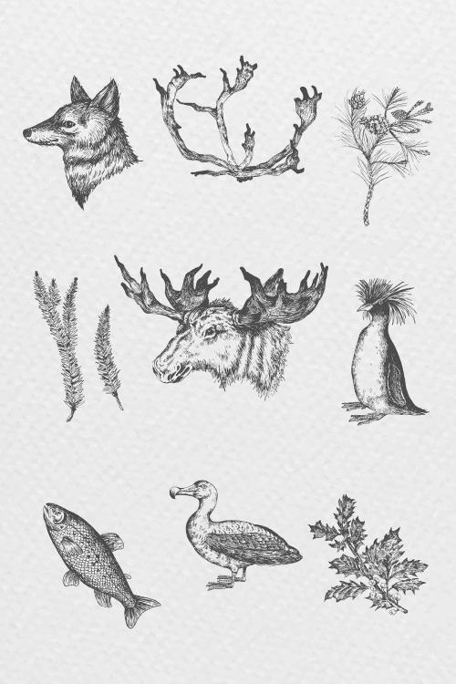 Animal drawing gray scale collection vector - 2045679