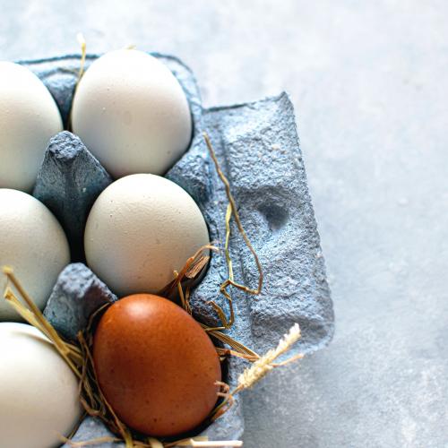 Fresh Cotswold egg in a carton - 2228701