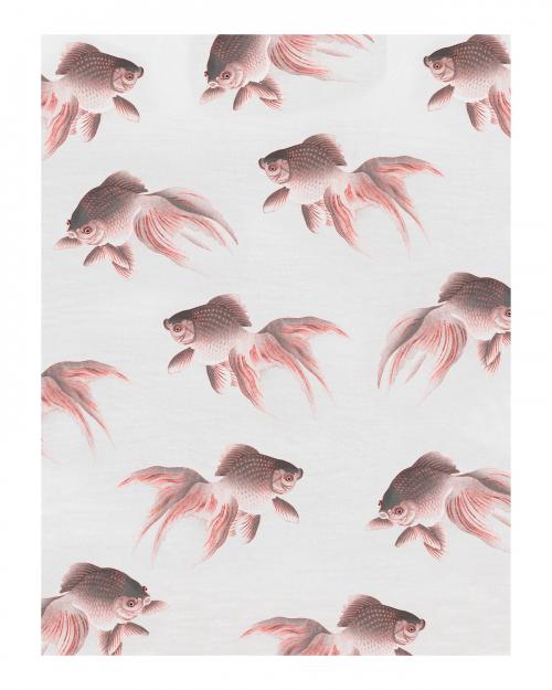 Veiltail goldfish pattern vintage illustration wall art print and poster design remix from original artwork. - 2270025