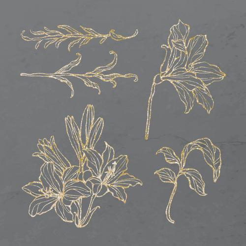 Gold floral outline set vector - 2019747