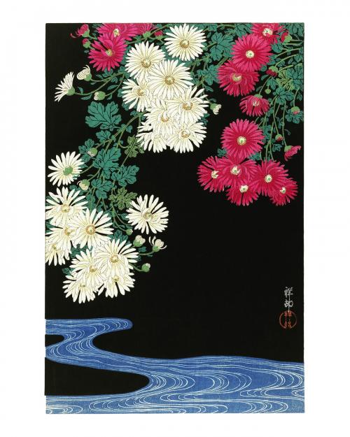 Chrysanthemums vintage illustration by Ohara Koson. Digitally enhanced by rawpixel. - 2267049