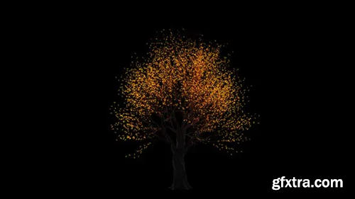 Videohive Light Tree Growing 27310370
