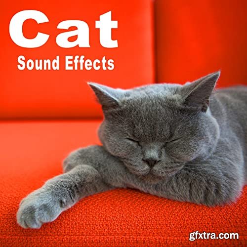 The Hollywood Edge Sound Effects Library Cat Sound Effects FLAC