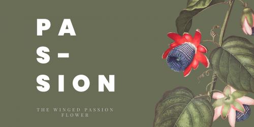 The winged passion flower banner vector - 1016600