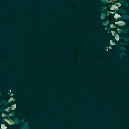 Hand drawn eucalyptus leaf pattern on dark background vector - 1016881