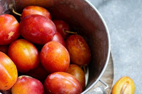 Fresh ripe plums in a pot - 1225288