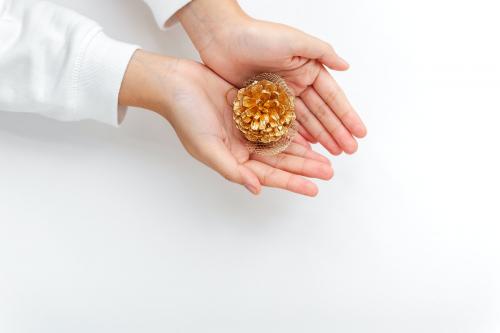 Woman holding a gold conifer cone on her palm - 1231828
