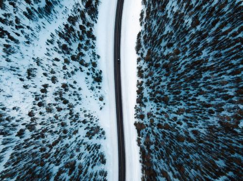 Aerial view of a snowy forest with a road - 846359