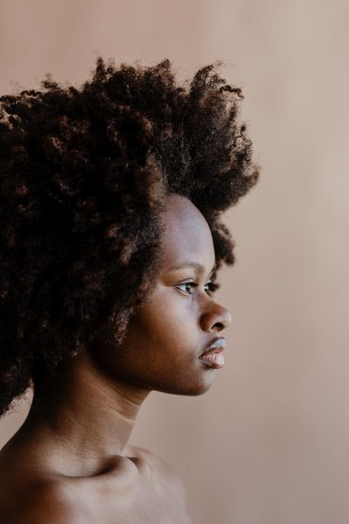 Beautiful black woman with afro hair - 1219028