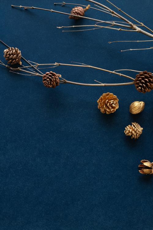 Golden pinecones on a branch - 1231191