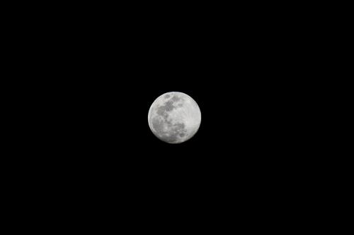 Full moon on a clear night sky - 935475