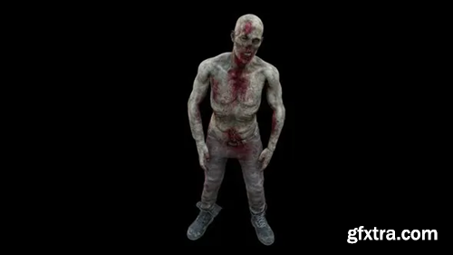 Videohive Zombie Front View 27362950