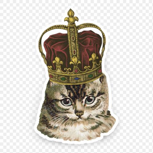 Cat wearing a crown sticker transparent png - 1234863