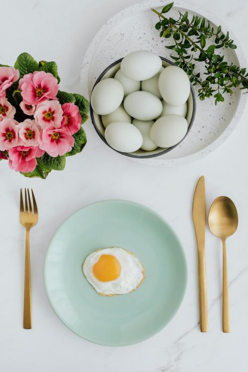 Aerial view of a fried egg on a green plate - 937488