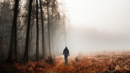 Man walking in a misty woods mobile phone wallpaper - 1218517