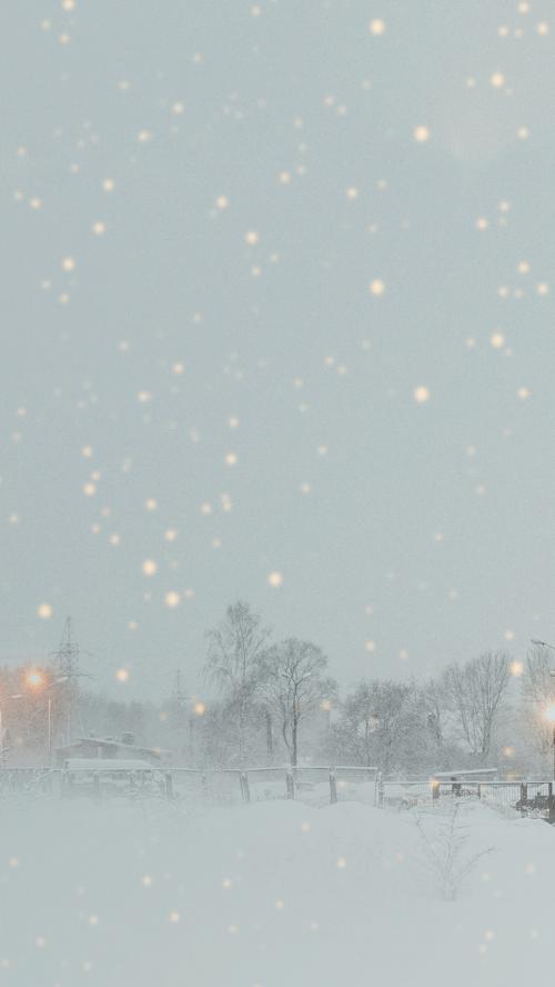 Snowy park in the evening mobile phone wallpaper - 1229622