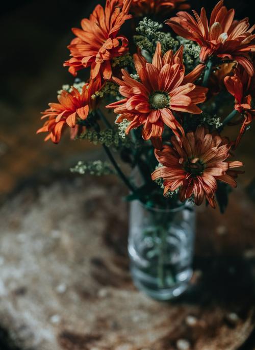 Gerbera daisy bouquet in a vase - 844793