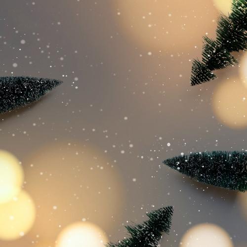 Christmas trees with design space background - 1229639
