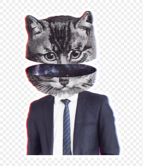 Cat wearing a suit sticker transparent png - 1234850