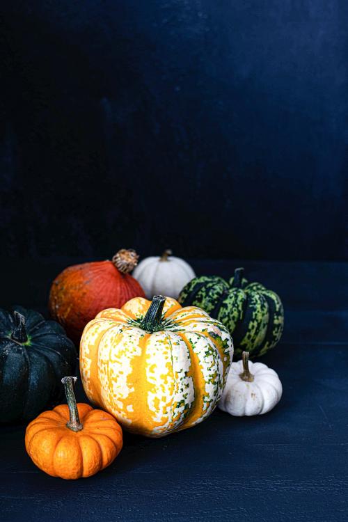 Fresh colorful pumpkins on a table - 1228596