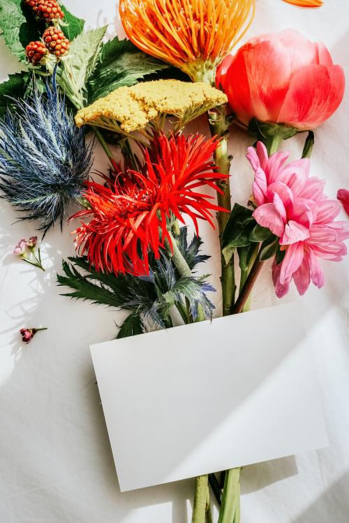 Blank white card with colorful fresh flowers - 1207326