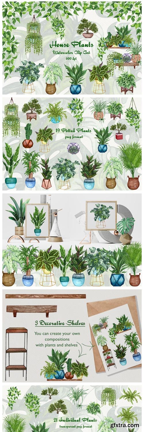 House Plants Watercolor Clip Art 4562370