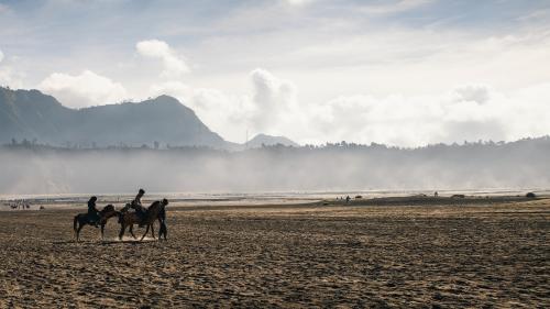 Horseback riding at Mount Bromo, Indonesia - 1198841