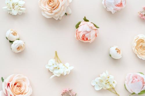 Pastel flowers on pink background - 1204254